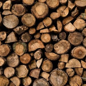 Букови дърва